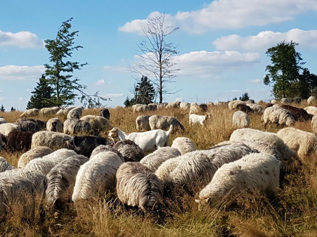 Berghotel Lenneplaetze Βίντερμπεργκ Εξωτερικό φωτογραφία